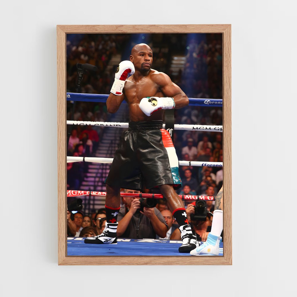 Poster Floyd mayweather (vue 4)
